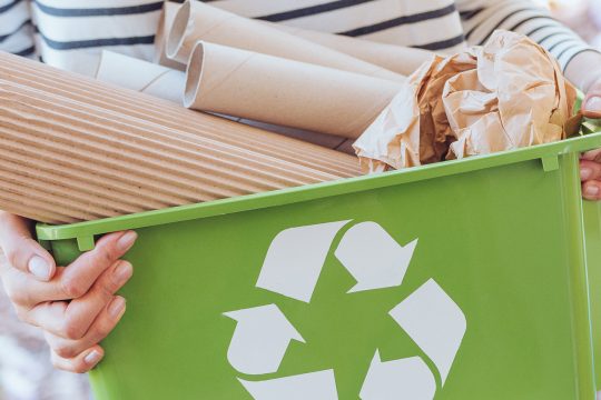 Header---12-Responsible-Consumption-and-Production